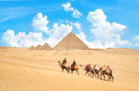 Caravan of camelsの写真素材