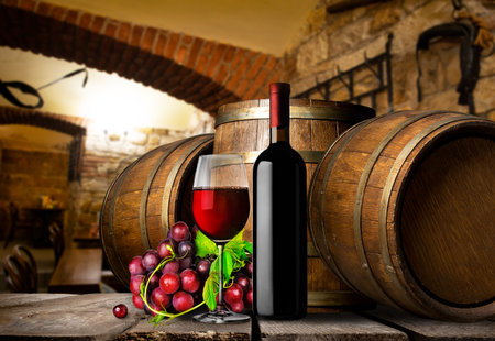 Wine cellar and grapesの写真素材