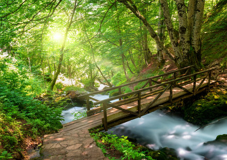 Bridge over the Tara river in the Montenegroの写真素材