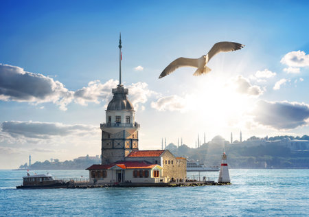 Seagull flying near Maiden's Tower in Istanbul at day, Turkeyの写真素材