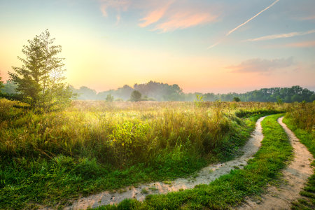 Road and spring fieldの写真素材
