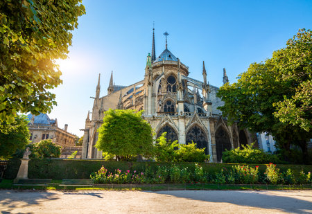 View of Notre Dame at sunriseの写真素材