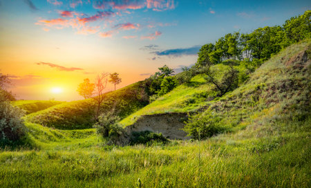 Green fields of grassの写真素材