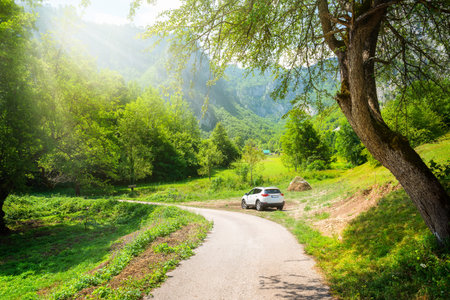 Road in Dobrilovinaの写真素材