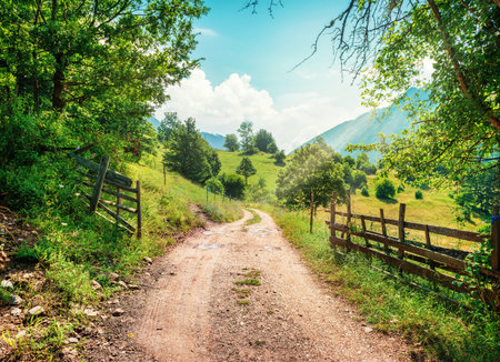 Road in a canyonの写真素材