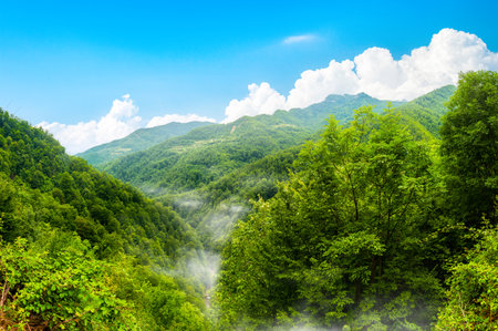 Durmitor National park Montenegroの写真素材