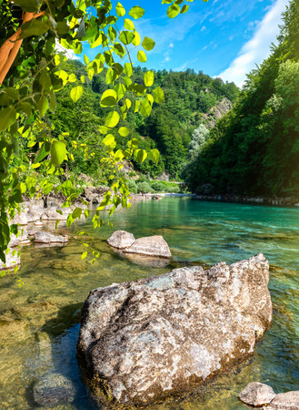 Tara river Montenegroの写真素材