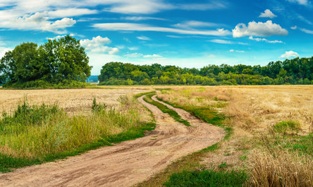 Winding country roadの写真素材