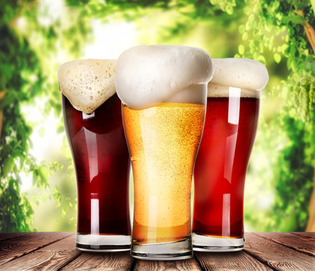 Mugs of light beerの写真素材