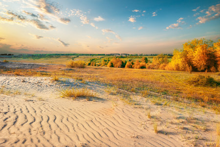 Desert in autumnの写真素材