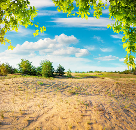 Sunlight over sandy desertの写真素材