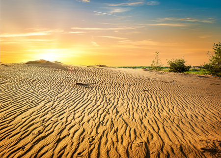 Sunset in desertの写真素材