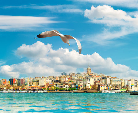 Cityscape of Istanbul with the view on Galata Tower and boats in Golden Horn bay, Turkeyの写真素材