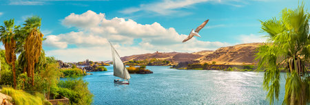 View of the Great Nile in Aswanの写真素材