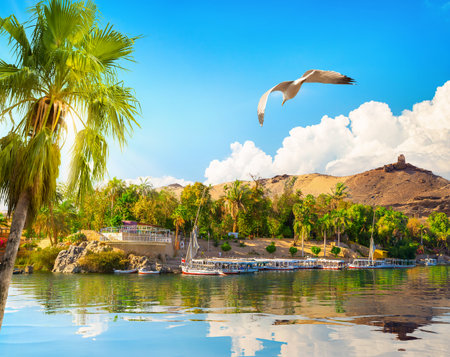 View of the Great Nile in Aswanの写真素材