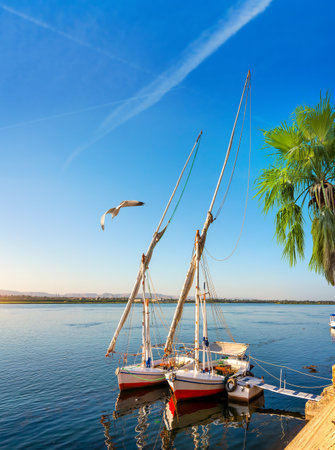 River Nile and boats at sunset in Aswanの写真素材