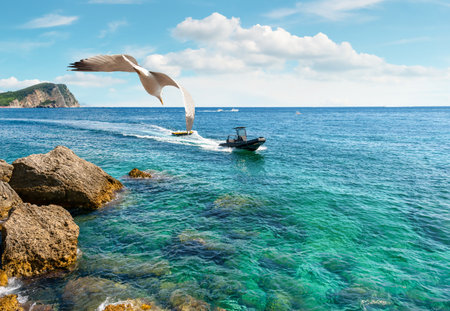 Fantastic mountains of Montenegro. Picturesque mountain landscapeの写真素材