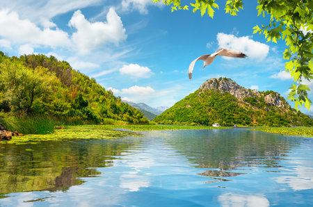 Fantastic mountains of Montenegro. Picturesque mountain landscapeの写真素材
