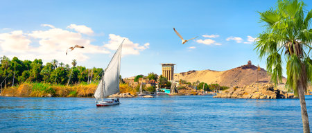 Flowering bushes near big stones in the park of Aswan, Egyptの写真素材