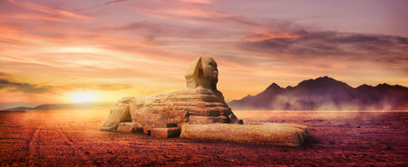 Flowering bushes near big stones in the park of Aswan, Egyptの写真素材