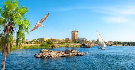 View of Aswan city on river Nile in summer dayの写真素材