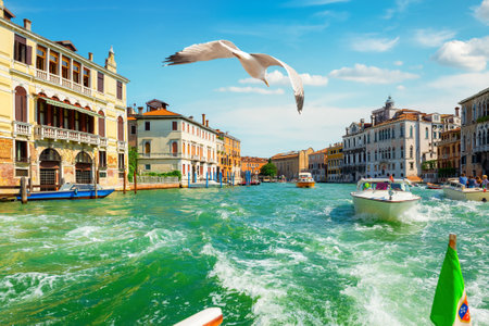 Summer cityscape of Venice with the view on basilica in Grand Canalの写真素材