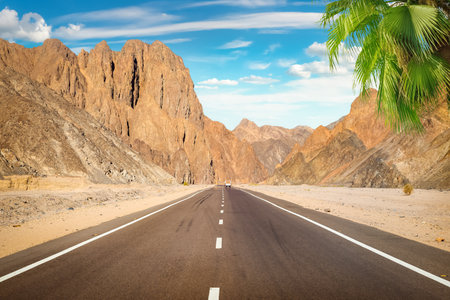 Road in the desert of Egypt at sunsetの写真素材