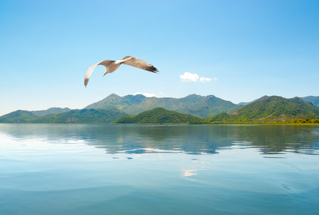 Panoramic landscape of Budva riviera in Montenegroの写真素材