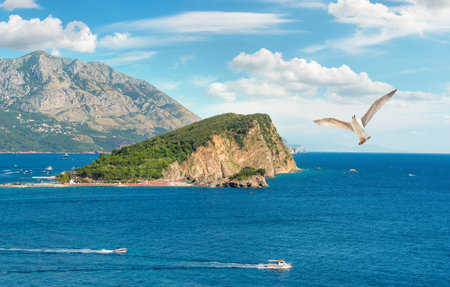 View to the mountains and Skadar lakeの写真素材