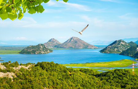 View to the mountains and Skadar lakeの写真素材