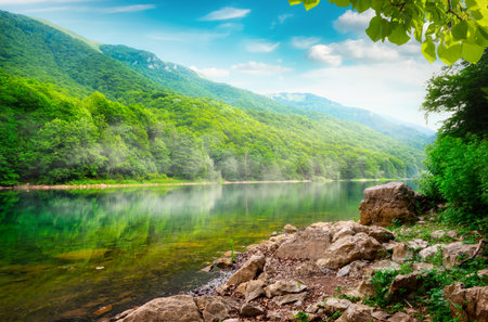 Mountain region in Lovcen National Park in Montenegroの写真素材