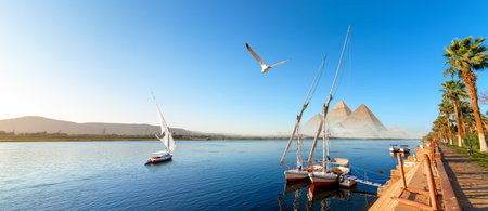 River Nile in Egypt. Aswan Africa and pyramidsの写真素材