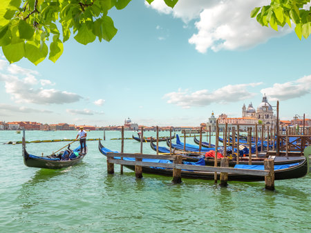 Gondolas in the hot sunの写真素材
