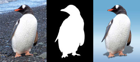 Penguin with maskの写真素材