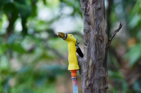 bright yellow water spray with brass iron tip with black pressure handleの写真素材