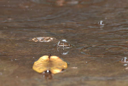 water bubbles from raindrops that fall above puddles on the floor