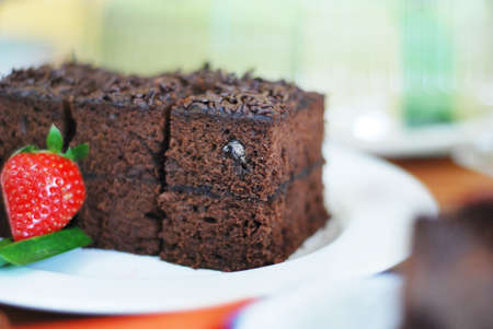 brown rectangular bread with square shape rather thin with a sprinkling of brown granules on top