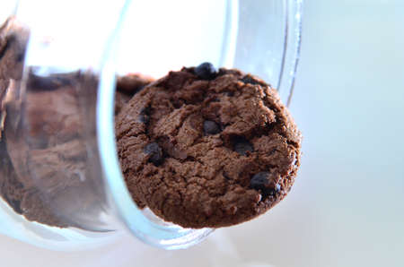 Chocolate biscuits plus raisins, round in shape with a rough texture and cracks on the outside...