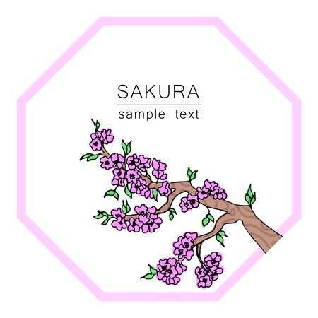 The branch of a cherry tree. Japanese cherry for decorative design. Isolated white background. Floral vector illustration. Sakura vector flower. Decorative frame. Japanese culture. Spring periodのイラスト素材