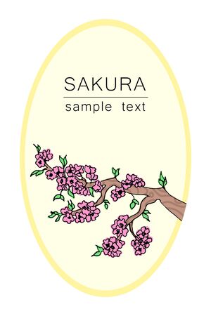 The branch of a cherry tree. Japanese cherry for decorative design. Isolated white background. Floral vector illustration. Sakura vector flower. Decorative frame. Japanese culture. Spring periodのイラスト素材