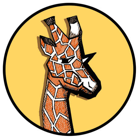 Vector image of a giraffe s head on the yellow circle. Color graphic drawing of an animal. African wild ruminant animal. Cloven-hoofed mammal. Hand-painted. Black line art with orange hatchingのイラスト素材