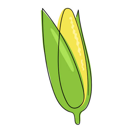 The corn cob is drawn as a single solid line. Delicious yellow corn. The object is drawn with a single line in the doodle style. A farmer s market product. One continuous single drawn line artのイラスト素材