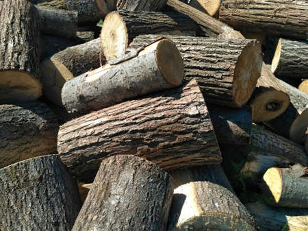 The sawn wood lies in a heap. Woodpile close-up. A stack of dry logs, visible texture and cracks in the tree. Exterior shot of a large pile of firewood in soft daylight. The bark of a tree.の写真素材