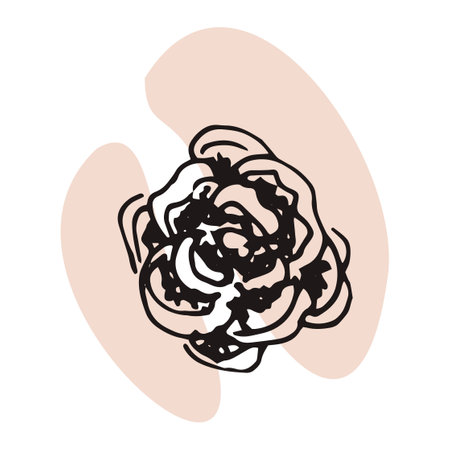 The plant is drawn by hand with a pen and translated into vector format. In the background there is an abstract colored spot. Stock vector illustration. For garment decoration, packaging, interiorのイラスト素材