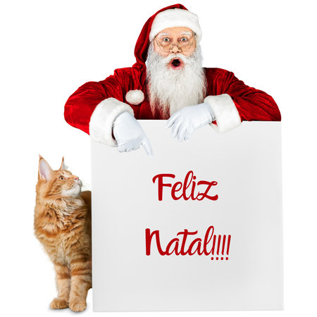 Photo of Santa Claus with a white beard and red clothes pointing at a white sign that says Merry Christmas and on the side of the sign appears a red-haired catの写真素材