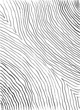 Abstract texture illustration of curved lines hand drawing on white background.