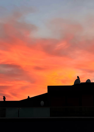 Dramatic red and orange sunset sky background with shadow of an apartment building roof with crowsの写真素材