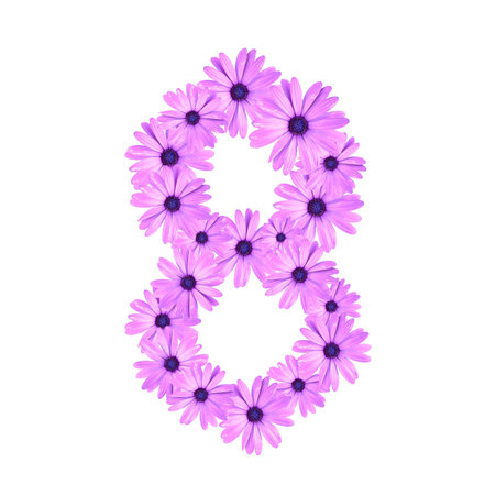 Infinity symbol with pink daisies. 8 March International Womens Day concept with daisy flowers
