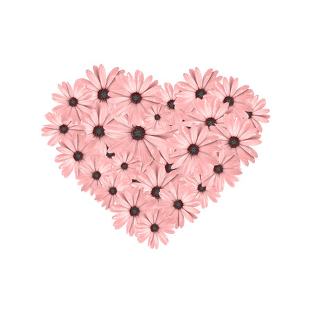 Heart shape made of coral daisy flowers isolated on white. Pastel color heart from flowersの写真素材