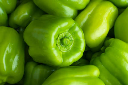 Background of green Bulgarian sweet peppersの写真素材